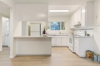 Photo #5: 221123753 Listing