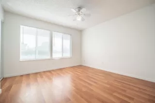 Photo #5: 221124794 Listing