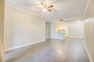 Photo #3: 221125093 Listing 