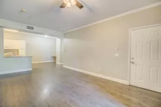 Photo #4: 221125093 Listing 