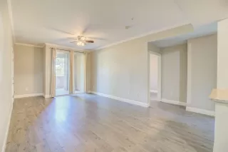 Photo #6: 221125093 Listing 