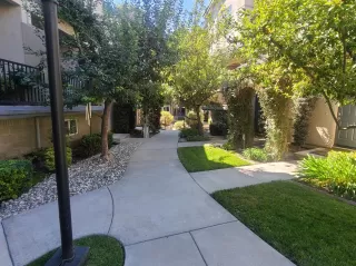 Photo #5: 221126203 Listing