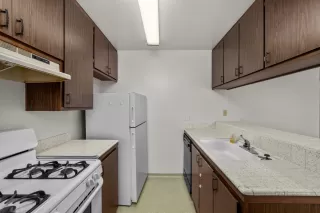 Photo #4: 221126206 Listing