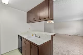 Photo #5: 221126206 Listing