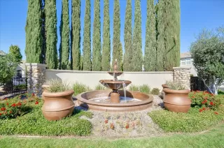 Photo #1: 221126602 Listing