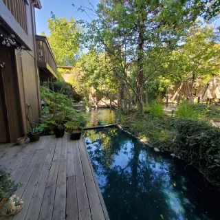 Photo #1: 221126679 Listing 