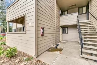 Photo #2: 221126750 Listing