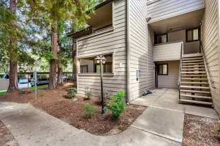 Photo #1: 221127200 Listing