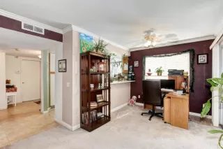 Photo #6: 221127483 Listing 
