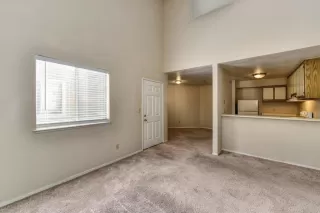 Photo #5: 221128638 Listing