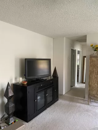 Photo #3: 221128768 Listing