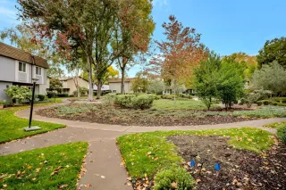 Photo #3: 221129032 Listing