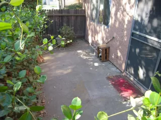 Photo #5: 221130358 Listing 