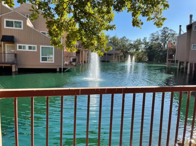 MLS: 221130548 Condo For Sale