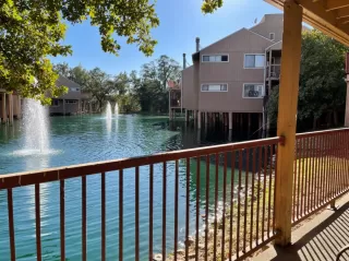 Photo #1: 221130548 Listing