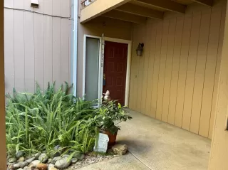Photo #2: 221130548 Listing