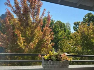 Photo #5: 221130627 Listing 