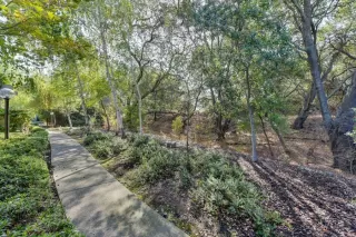 Photo #2: 221130863 Listing