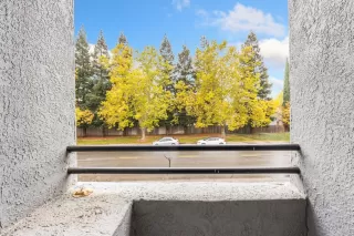 Photo #6: 221131266 Listing