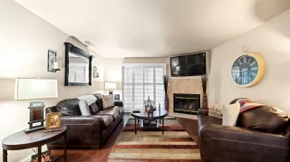 Photo #5: 221131343 Listing 