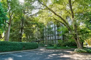 Photo #2: 221131423 Listing