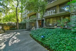 Photo #5: 221131423 Listing