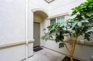 Photo #2: 221131691 Listing