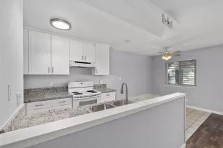 Photo #1: 221132486 Listing 
