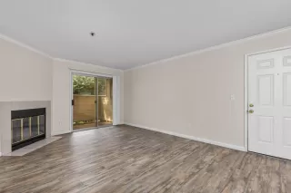 Photo #1: 221132668 Listing 