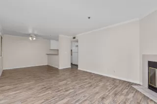 Photo #6: 221132668 Listing 