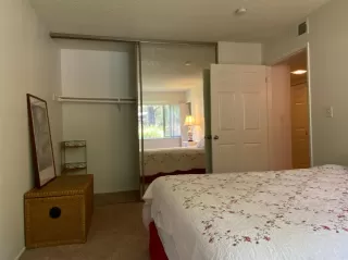 Photo #6: 221132855 Listing 