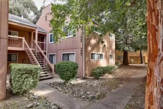 Photo #1: 221133088 Listing