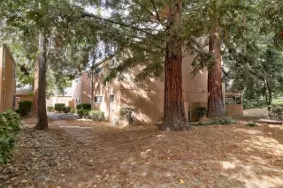 Photo #2: 221133088 Listing