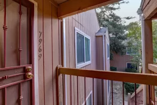 Photo #5: 221133088 Listing