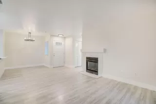 Photo #5: 221133551 Listing