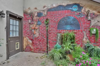 Photo #5: 221134007 Listing 