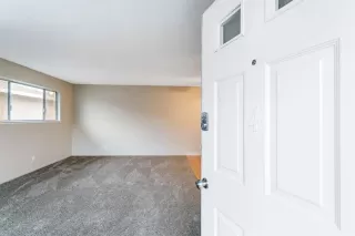 Photo #3: 221135696 Listing