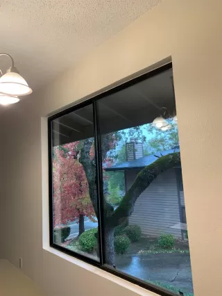 Photo #4: 221135743 Listing 