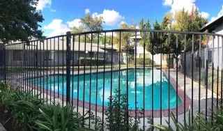 Photo #4: 221136643 Listing