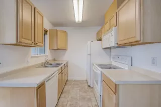 Photo #1: 221136656 Listing 