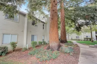 Photo #4: 221136656 Listing 