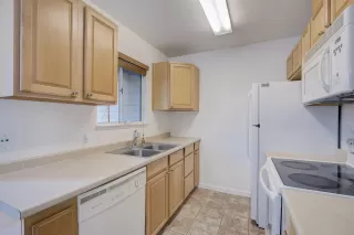 Photo #5: 221136656 Listing 