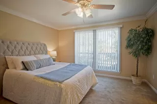 Photo #6: 221137853 Listing