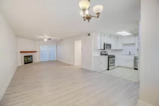 Photo #1: 221137885 Listing