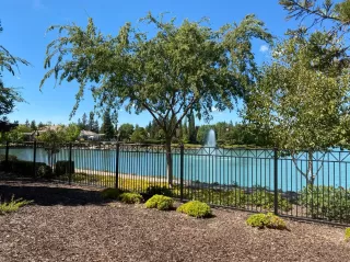 Photo #4: 221138676 Listing