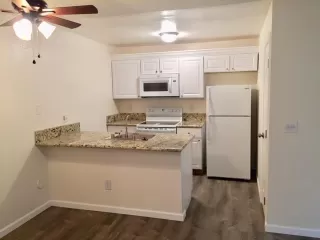 Photo #1: 221139299 Listing