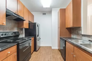 Photo #1: 221140112 Listing 