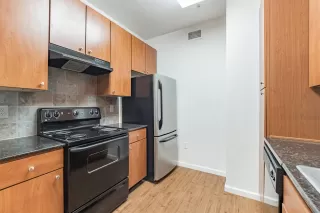 Photo #2: 221140112 Listing 