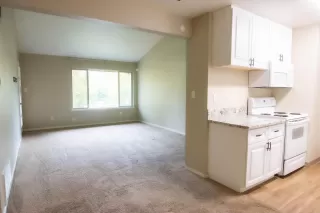 Photo #4: 221140210 Listing 