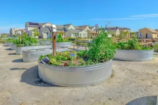 Photo #6: 221140885 Listing